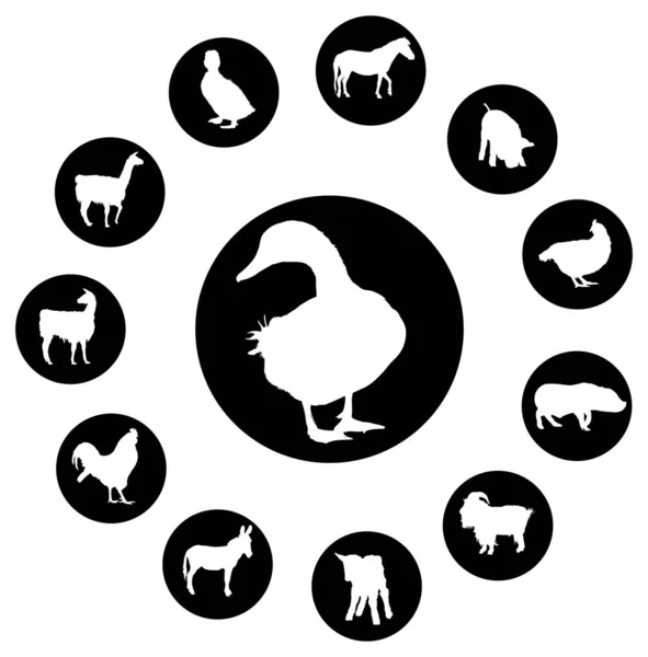 Schafsymbole Gesetzt Vektor Illustration Eps — Stockvektor