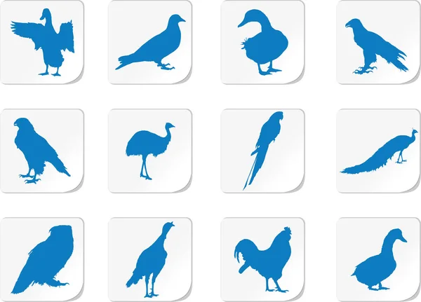 Vektorillustration Blauer Silhouetten Von Vögeln — Stockvektor