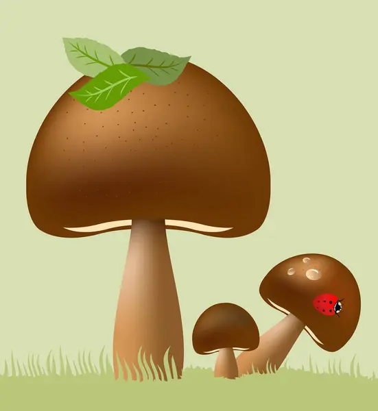 Ilustração Cogumelo Grama Com Cogumelos — Vetor de Stock