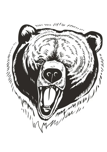 Medve Fekete Fehér Illusztrációja — Stock Vector