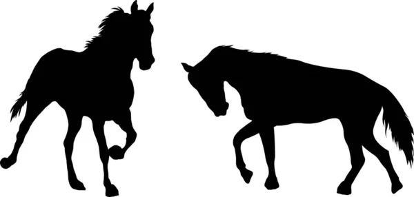 Черно Белая Векторная Иллюстрация Двух Лошадей — стоковый вектор