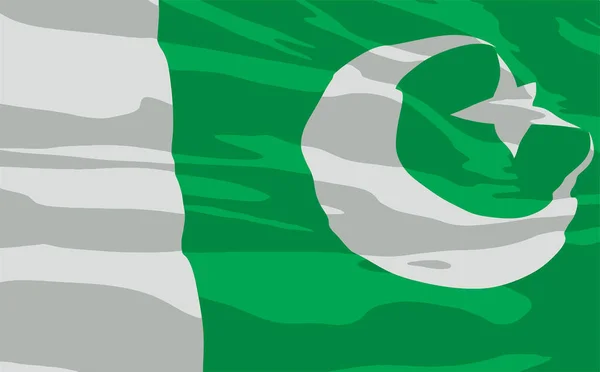 Flaggan Pakistan — Stock vektor