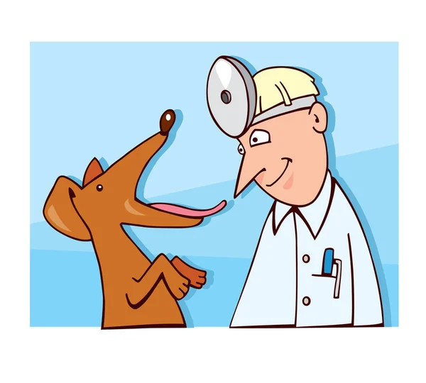 Zeichentrick Illustration Von Hundedoktor Und Tierfigur — Stockvektor