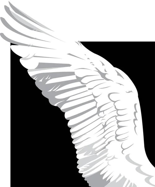 Siyah Beyaz Kuş — Stok Vektör