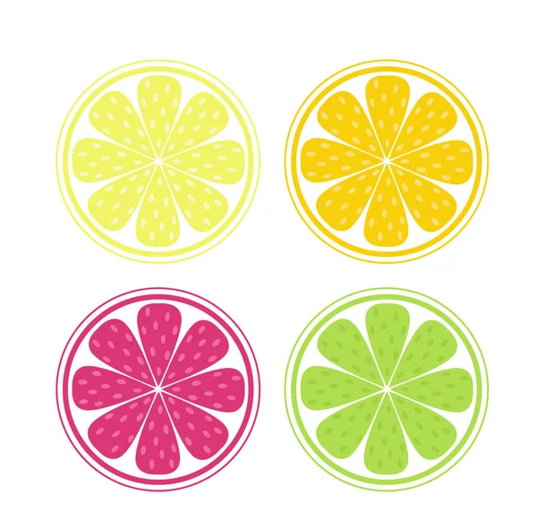 Set Van Vier Felgekleurde Schijfjes Limoen Sinaasappel Limoen Limoen Munt — Stockvector