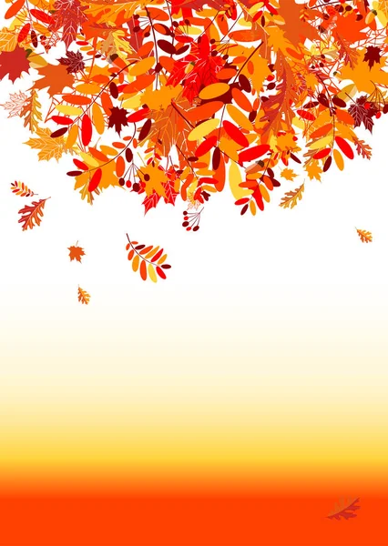 Herbstblätter Fallen Vektorillustration — Stockvektor