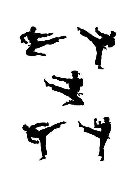 martial arts. vector illustration.