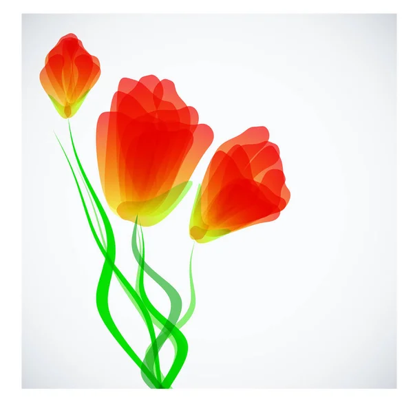 Red Tulips Flower Isolated White Background — Stock Vector