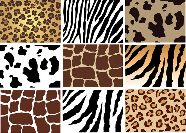 Set Leopard Skin Seamless Pattern — Stock Vector