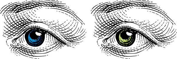 Ojos Los Humanos — Archivo Imágenes Vectoriales
