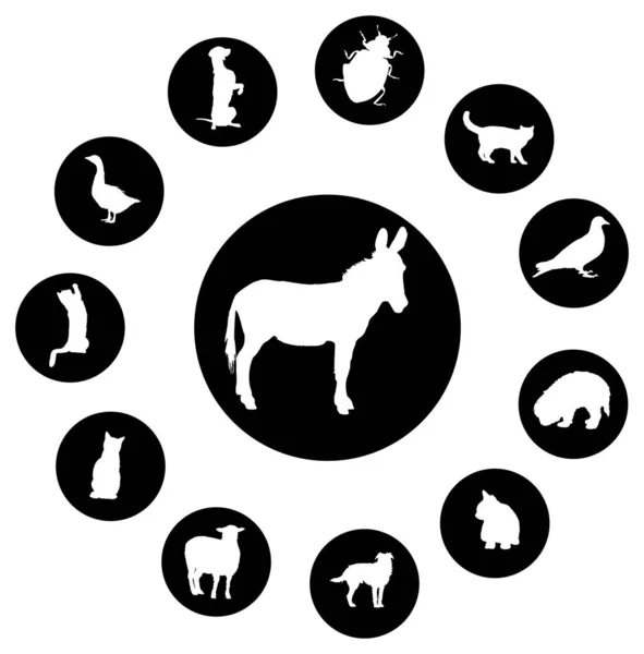 Vektorillustration Von Tieren — Stockvektor
