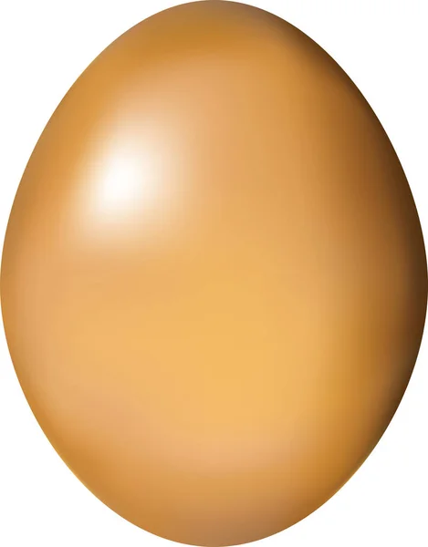 Vektör Gerçekçi Altın Yumurta — Stok Vektör