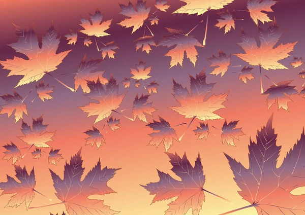Podzimní Listy Podzimní Období — Stockový vektor