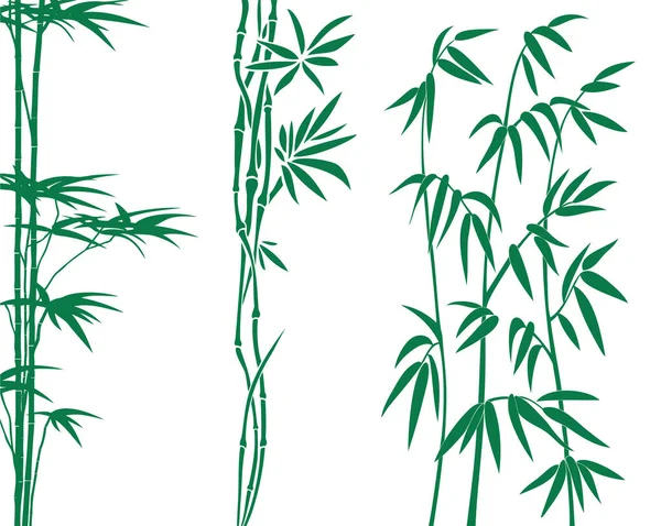 Bamboe Met Groene Patronen Witte Achtergrond — Stockvector