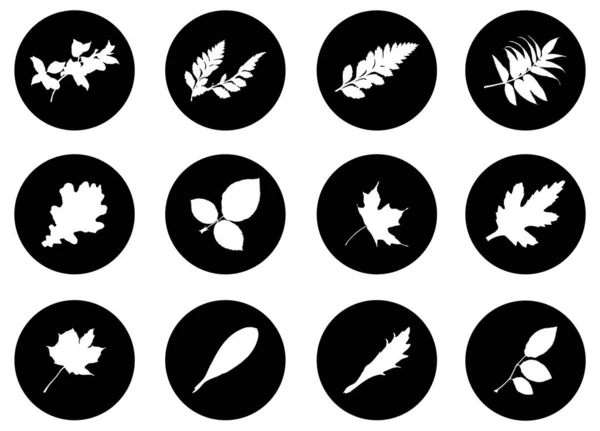 Leaves Icons Set Vector Illustration — Stock Vector