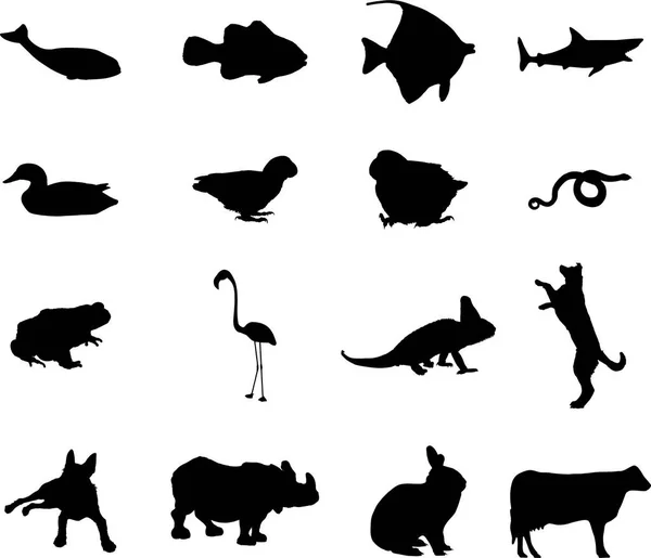 Vector Conjunto Siluetas Animales — Archivo Imágenes Vectoriales