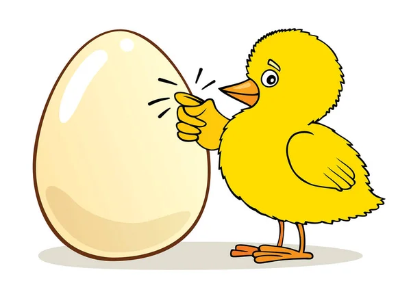 鶏と卵のイラスト — ストックベクタ
