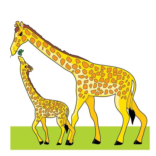 Girafa Com Girafa Bebê Ilustração Vetorial —  Vetores de Stock