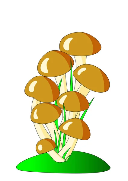 Cogumelos Grama Verde Fundo Branco —  Vetores de Stock