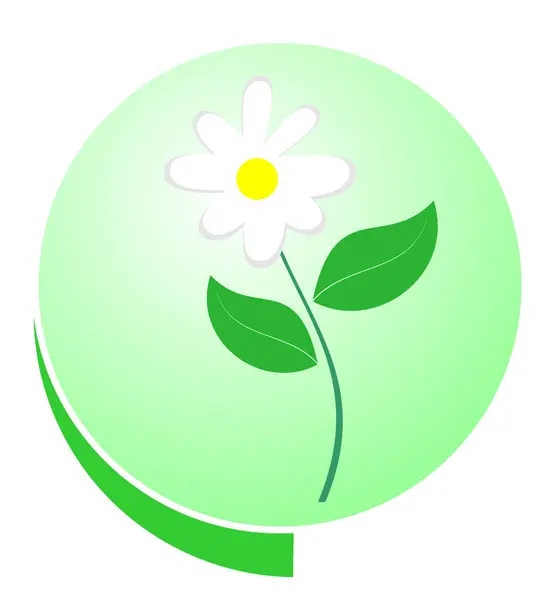 Μαργαρίτα Λουλούδι Διανυσματική Απεικόνιση — Διανυσματικό Αρχείο