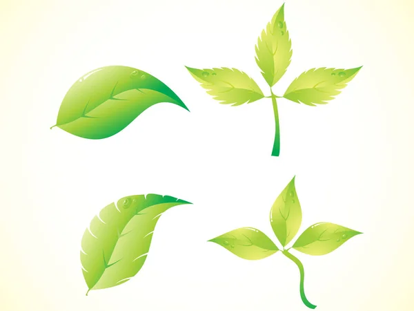 Feuilles Vertes Isolées Sur Fond Blanc Illustration Vectorielle — Image vectorielle