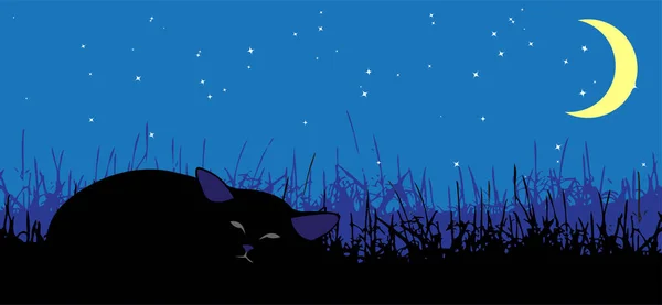 Céu Noturno Com Estrelas Gato Adormecido Ilustração Vetorial — Vetor de Stock
