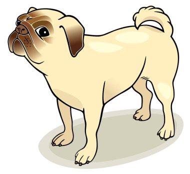 Pug Dog 'un çizimi
