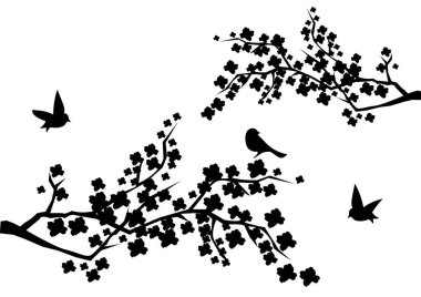 Kuşların vektör çizimi 