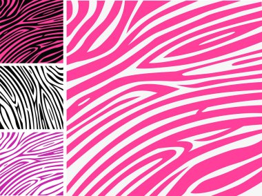 Bir dizi zebra deseni. vektör illüstrasyonu.