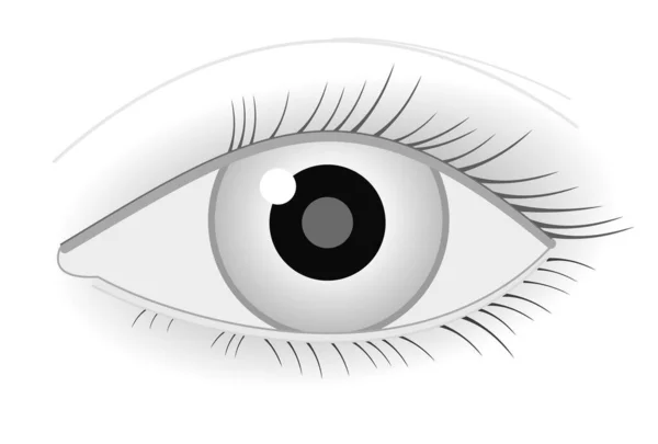 Ilustração Vetorial Olho Humano — Vetor de Stock
