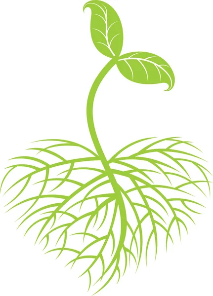 Plante Verte Dans Jardin Illustration Vectorielle Conception Simple — Image vectorielle