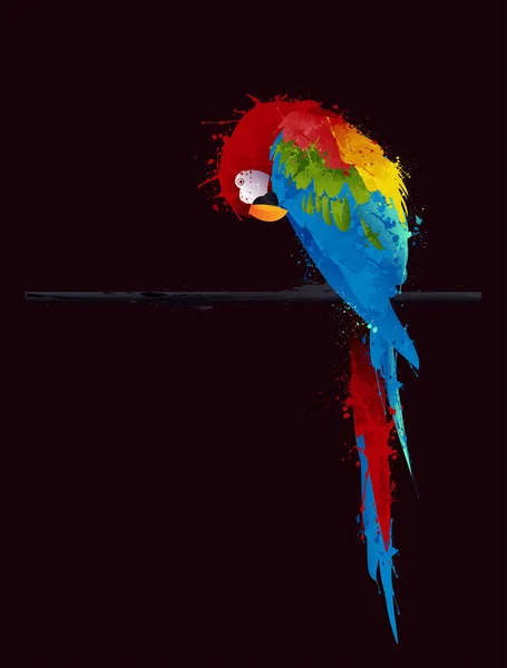 Papoušek Černém Pozadí — Stockový vektor