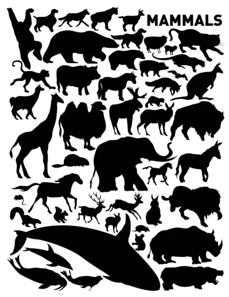 Ilustración Vectorial Animales — Archivo Imágenes Vectoriales