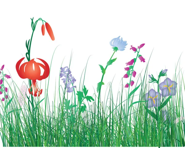 花のベクター花のイラスト — ストックベクタ