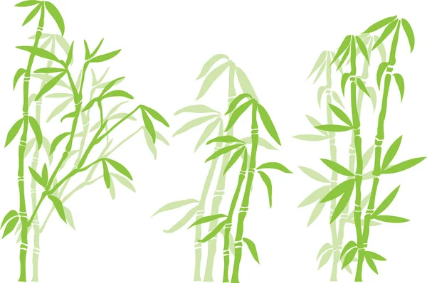 Bamboe Plant Vector Illustratie — Stockvector