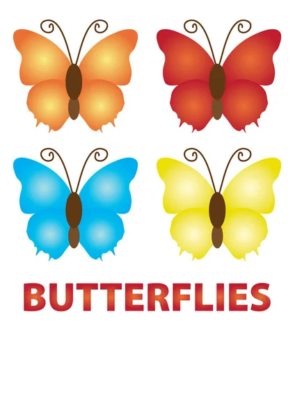 Uppsättning Fyra Fjärilar Vektor Illustration — Stock vektor