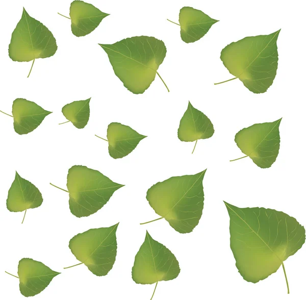 Feuilles Vertes Sur Blanc — Image vectorielle