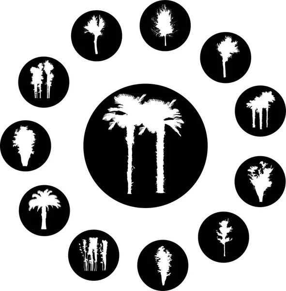 Palm Trees Silhouettes Vector Illustration — Stock Vector