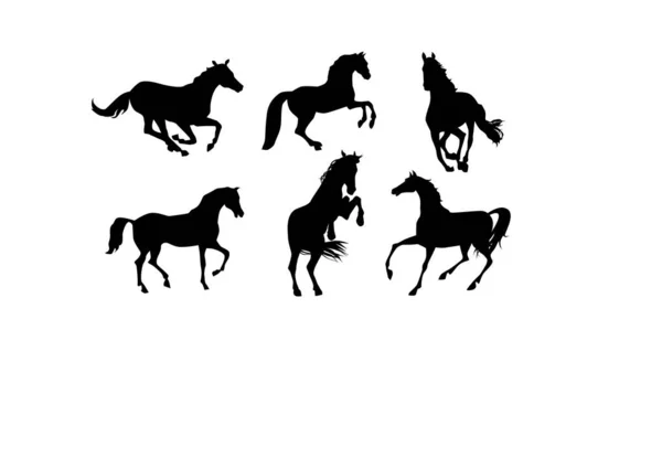 Set Horse Silhouettes Vector — Stock Vector