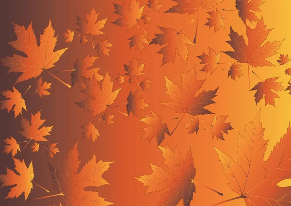 Осенний Фон Кленовыми Листьями — стоковый вектор