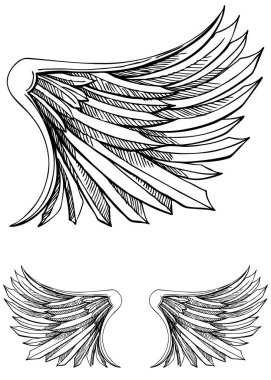 kanatlar, beyaz arkaplanda vektör illüstrasyonu