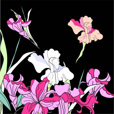 Çiçeksel vektör arka planı. Zambak çiçekleri.