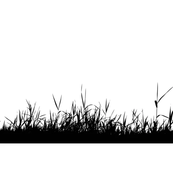 Zwart Gras Witte Achtergrond Vector Illustratie — Stockvector
