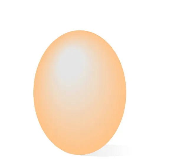 Vector Illustration Egg — Stock Vector