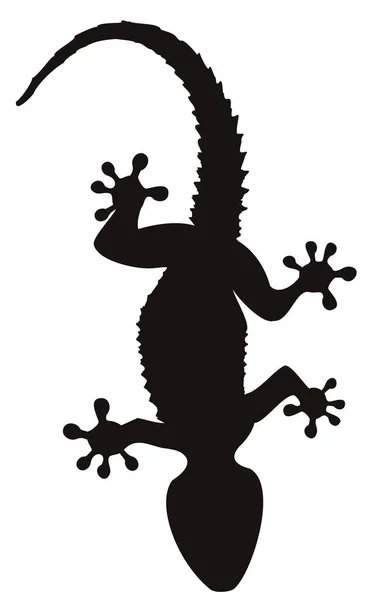 Gecko Tatuering Vitt — Stock vektor