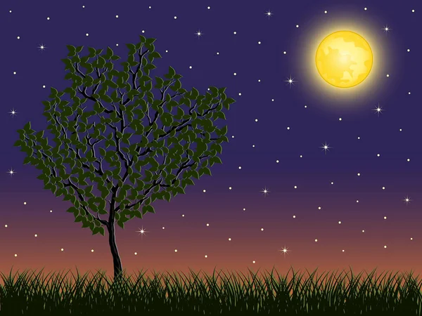 Vektorillustration Des Baumes Mit Mond Und Himmel — Stockvektor