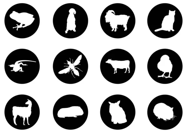 Animales Vector Iconos Conjunto — Vector de stock