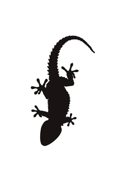 白い背景に黒いトカゲのシルエット — ストックベクタ
