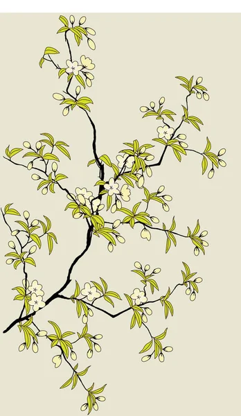 Branch Flowers Vector Illustration — Stock Vector