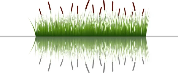 Vektor Illustration Grönt Gräs — Stock vektor